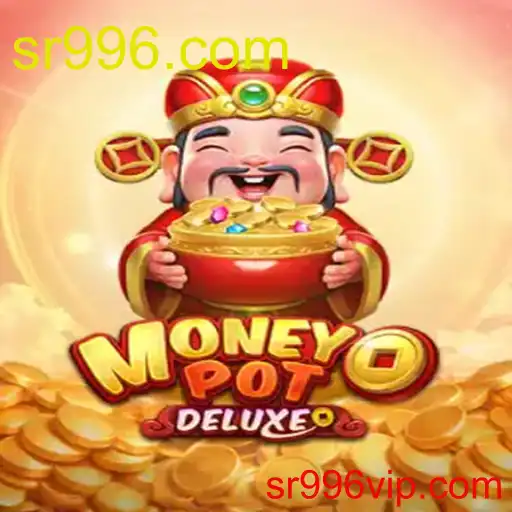 MoneyPotDELUXE
